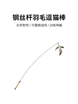 No cat disease US veterinarian recommended steel wire rod feather teasing cat stick with replaceable head lengthened bar resistant to cat toy