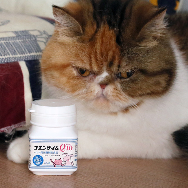 Japan Kyoritsu Pet Hospital Dogs and Cats Heart Protection Cardiovascular Coenzyme Q10 Powder 20g