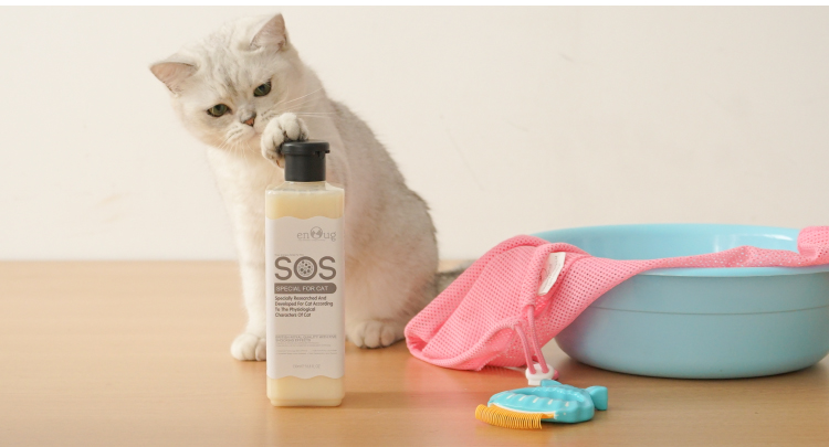 Không có mèo mèo SOS Yi Nuo gel tắm mèo trừ 蚤 except 虱 虱 tắm gội cho mèo - Cat / Dog Beauty & Cleaning Supplies lược chải bông lông chó	