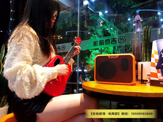JOYO Zhuole 10W 전기 상자 포크 기타 휴대용 소형 스피커