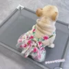 Товары от 萌宝怪兽Pet