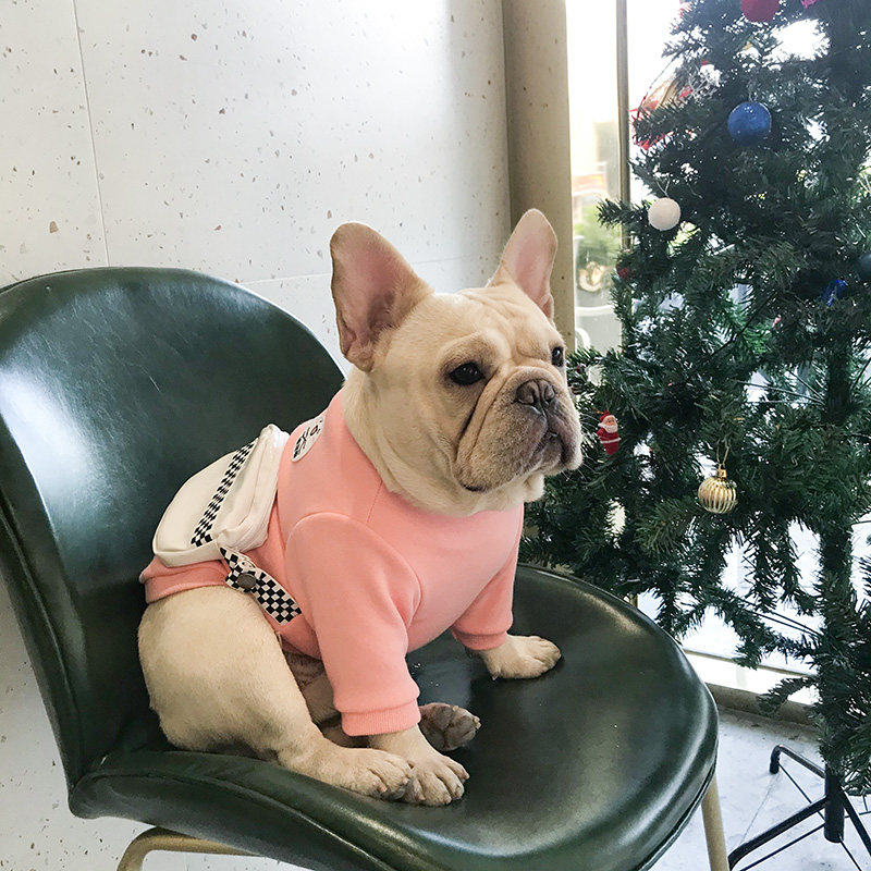 Dog clotheTeddy winter clothes plus thicken backpack coat warm small dog Fa Bago Chenary cute