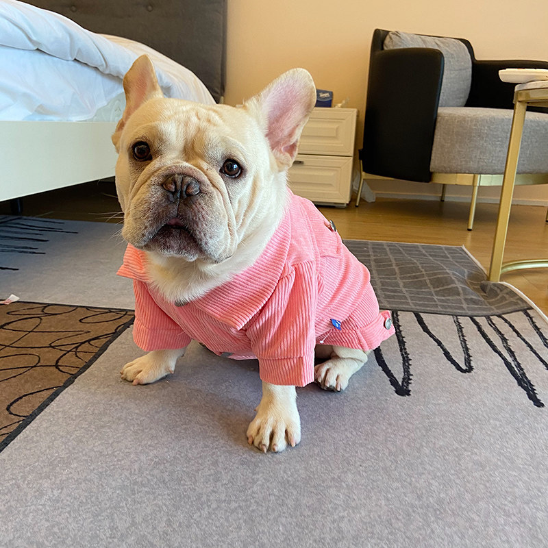 Clearance Special Offer Dog Autumn and Winter Casual Coat