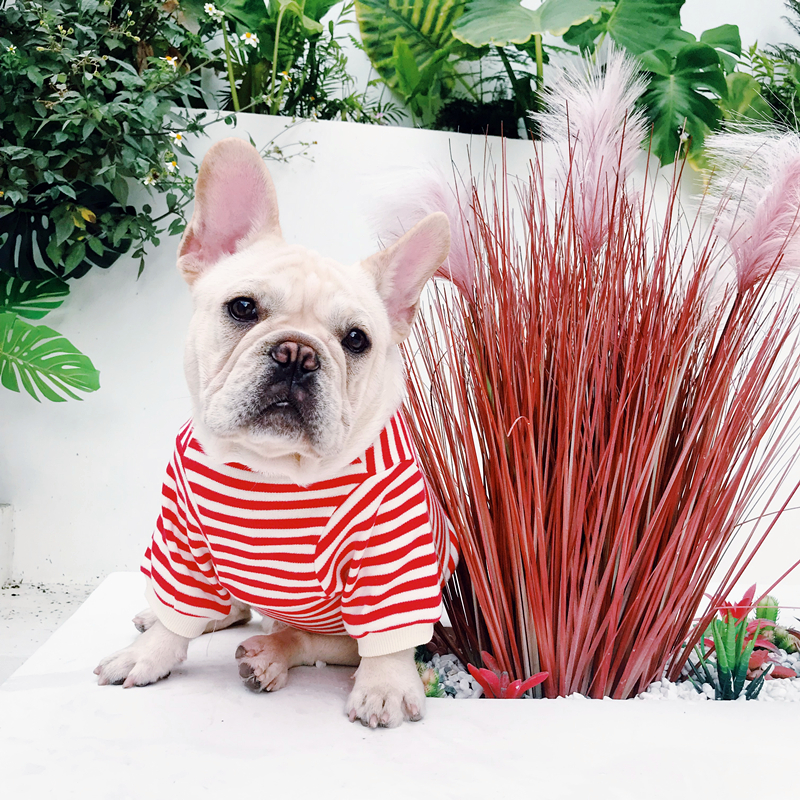 Quần áo chiến đấu chó mùa xuân mỏng phần Áo len sọc hơn gấu Pug quần áo thủy triều nhỏ và vừa - Quần áo & phụ kiện thú cưng áo chó mèo