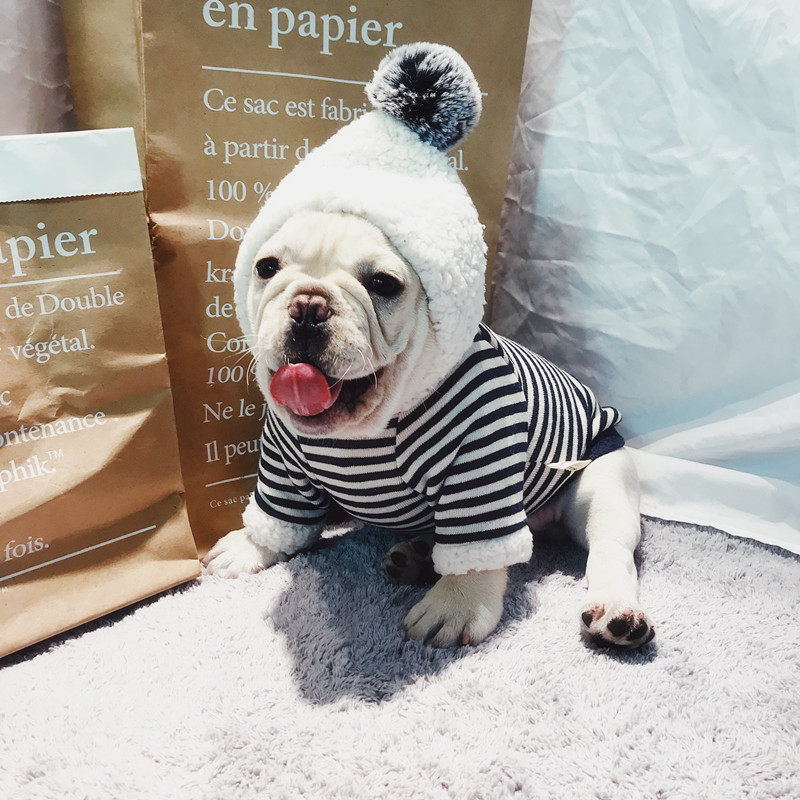 Dogs clothes autumn and winter clothing Bagbrother Bio bear teddy thickened with velvety warm medium canine dog dogfight puppy winter clothes