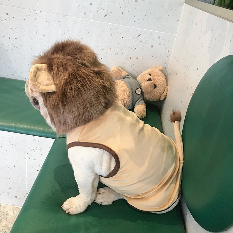 Shake Soundnet Red Ins dog clothes bulldog Lions Loaded with Lions Loaded with Eight-bagbrother Funny Cute Pet Clothing-Taobao