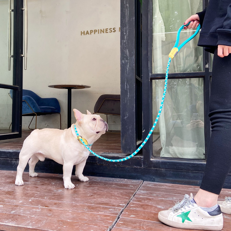 Dog P chain method bucket explosion-proof punch training large, medium and small dogs universal adjustable dog leash pet