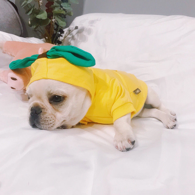 Clear Cabin Special Price Dogs Spring Autumn Thin cute Lianhood blouses small and medium dogs Bago Teddy UK Tide Brands