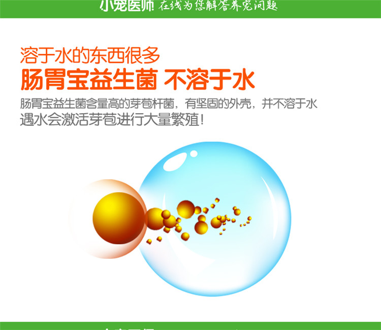 Thú cưng nhỏ tiêu hóa chó mèo men vi sinh 10 bao bì điều hòa viêm dạ dày ruột tiêu chảy tiêu chảy sản phẩm vật nuôi mèo - Cat / Dog Health bổ sung sữa bột cho chó con