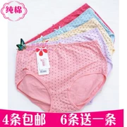 Han Chixiu quần short tam giác ở eo cotton thoáng khí đồ lót cotton kích thước lớn đơn giản thoải mái in quần