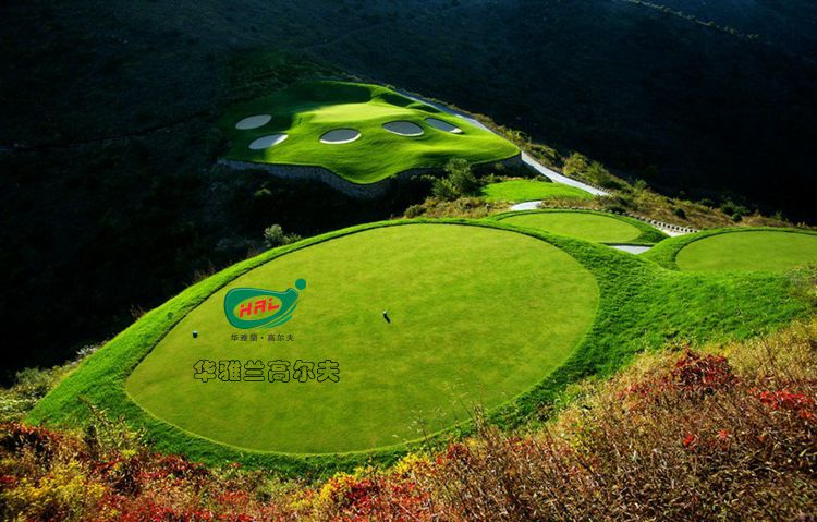 Sac de golf - Ref 38304 Image 6
