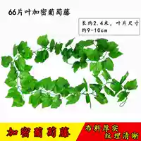 Mô phỏng mây giả hoa nho lá nho giả lá xanh lá cây trần nhà trang trí ống che lá nho - Hoa nhân tạo / Cây / Trái cây cây oliu giả