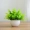 Mô phỏng cây xanh trồng trong nhà phòng khách đồ nội thất bàn mini trang trí hoa giả cây nhựa Milan starry - Hoa nhân tạo / Cây / Trái cây cây bàng giả
