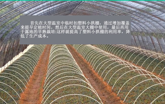 New material simple arch canopy fiberglass rod fiberglass rod