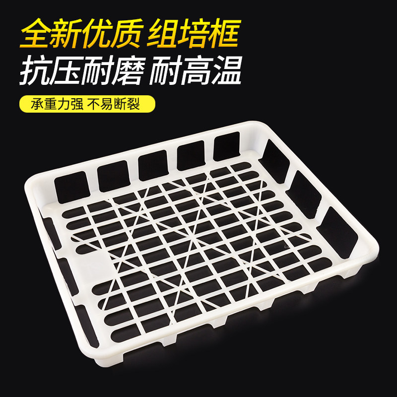 Jinnong factory high temperature resistant polypropylene edible fungus bottle seedling container frame laboratory tissue culture tray plastic turnover basket