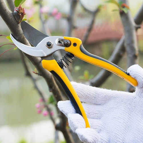 Частые цветочные похудения, ножницы для садового инструмента, ножницы фруктовых деревьев, сдвиг, ветви, грубые ветви садоводства и разрезание деревьев