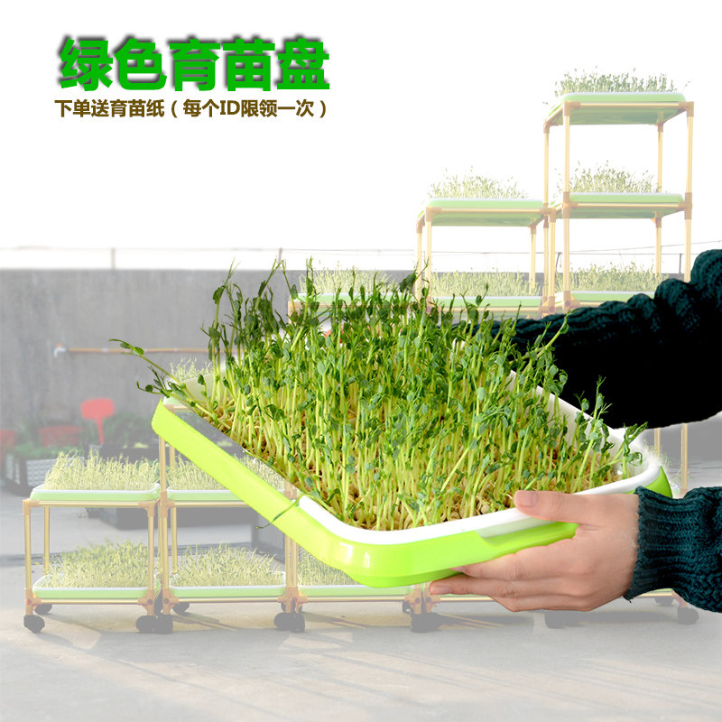 Vegetable sprouts planting plate wheat grass seedling plate double-layer plate multi-functional sprouts bean sprouts plate on aluminum alloy paper