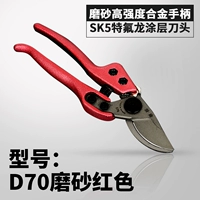 Тайвань D70 модель красного скраба