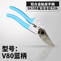 Тайвань Блю V80