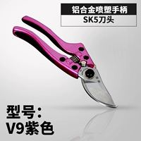 Тайвань V9 Purple