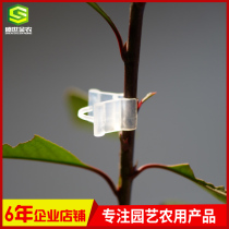 Tomato watermelon cucumber eggplant watermelon melon pepper and other gardening flower grafting clip plastic seedling grafting clip