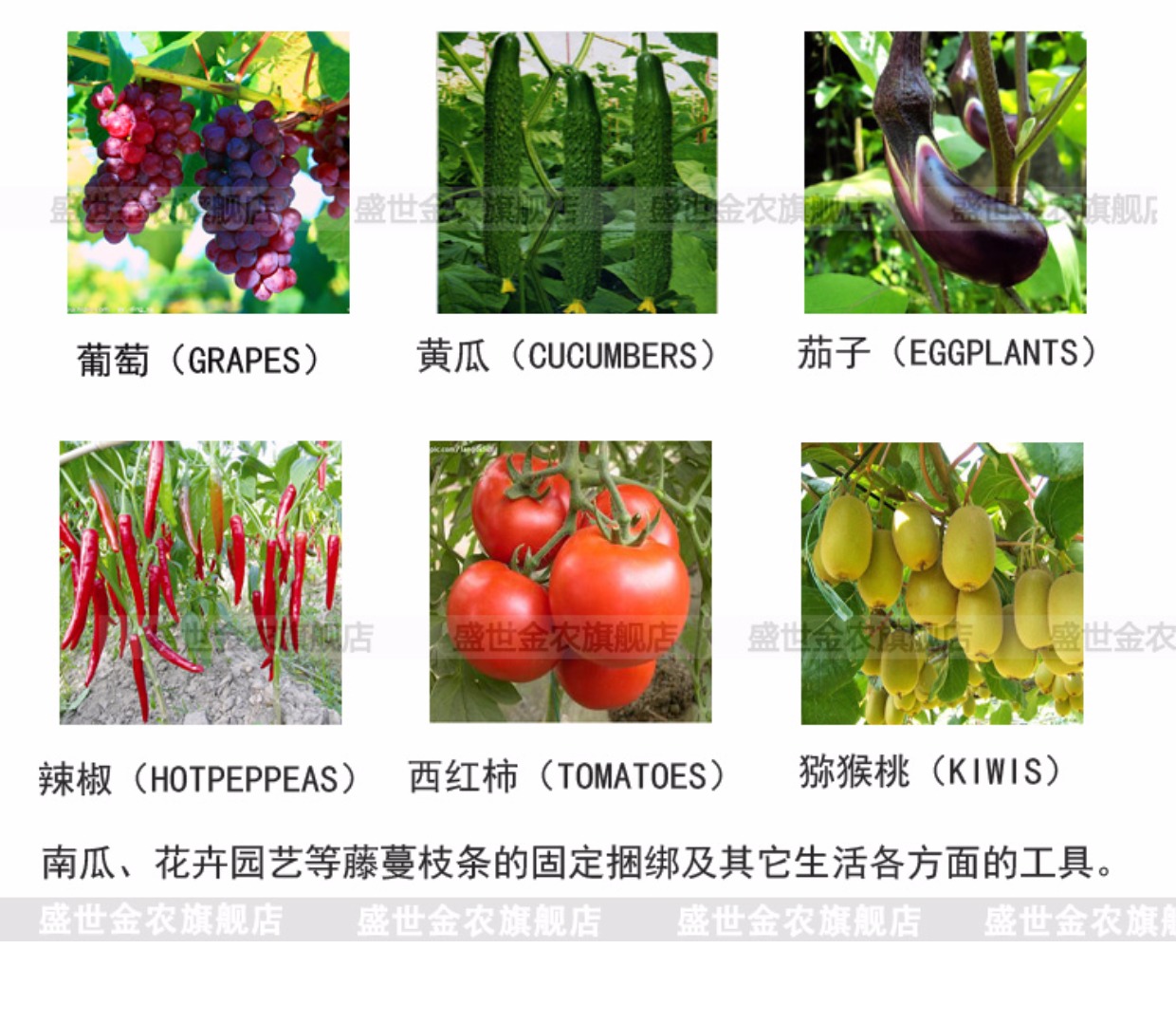Jinnong Các sản phẩm nông nghiệp làm vườn Chuyên gia Cà chua Dưa chuột Cây ăn quả Ghép chi nhánh Máy Phụ kiện - Nguồn cung cấp vườn bình tưới cây bằng điện
