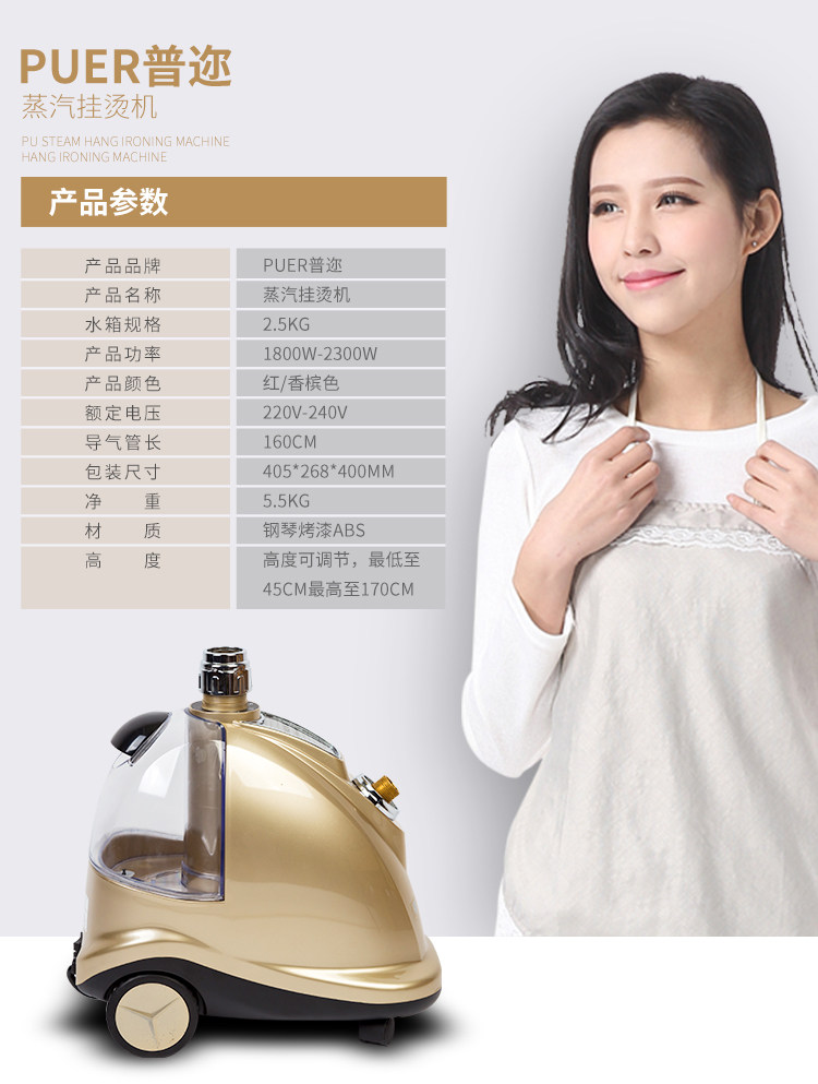 Пароочиститель 服装店商用蒸汽挂烫机普迩全铜芯2200w大功率大水箱衣服店熨烫机