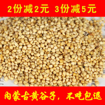 Budgerigar feed bird food Xuanfeng millet Peony grain Wen Bird with shell millet yellow bird food pearl 450g