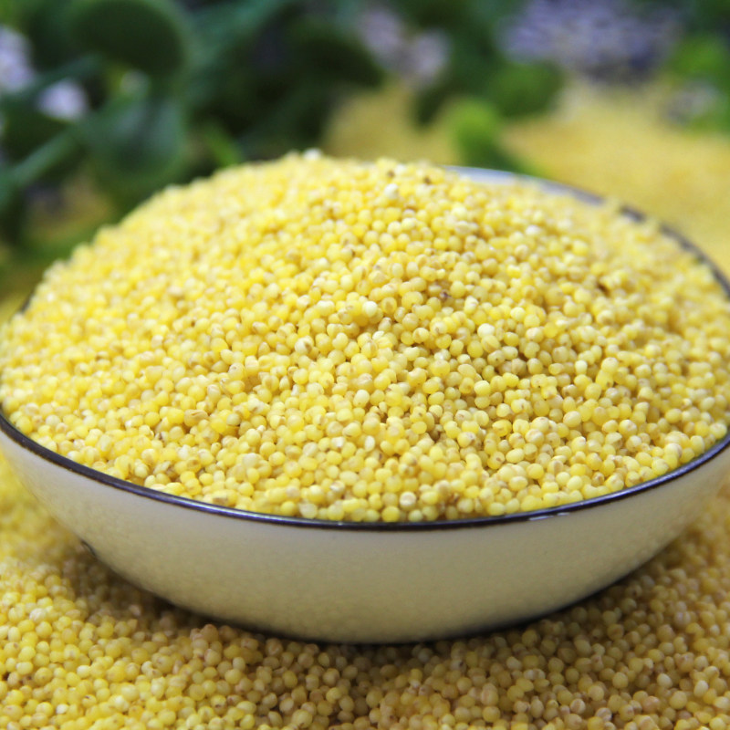 Tiger skin parrot feed millet bird food Xuanfeng peony grain birdbird shellless Yellow Millet Bird grain birdbird 1kg