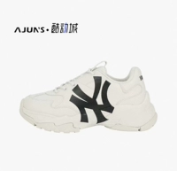 32SHC1011-50B Rice Yellow Spot