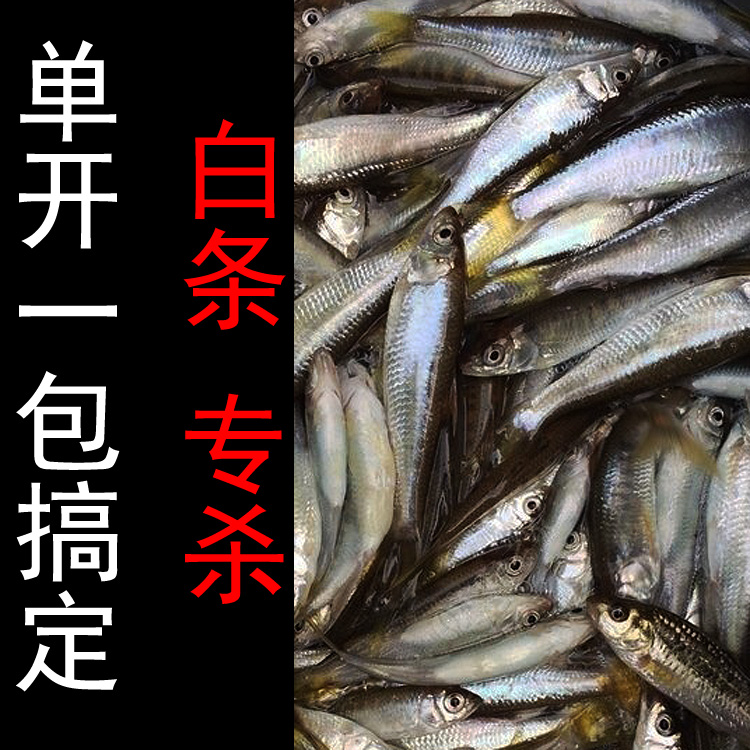 Horse mouth bait Wild fishing White bar Wild fishing specializes in mouth-up special fishing bait Big mouth-up floating fishing meal bar fishy