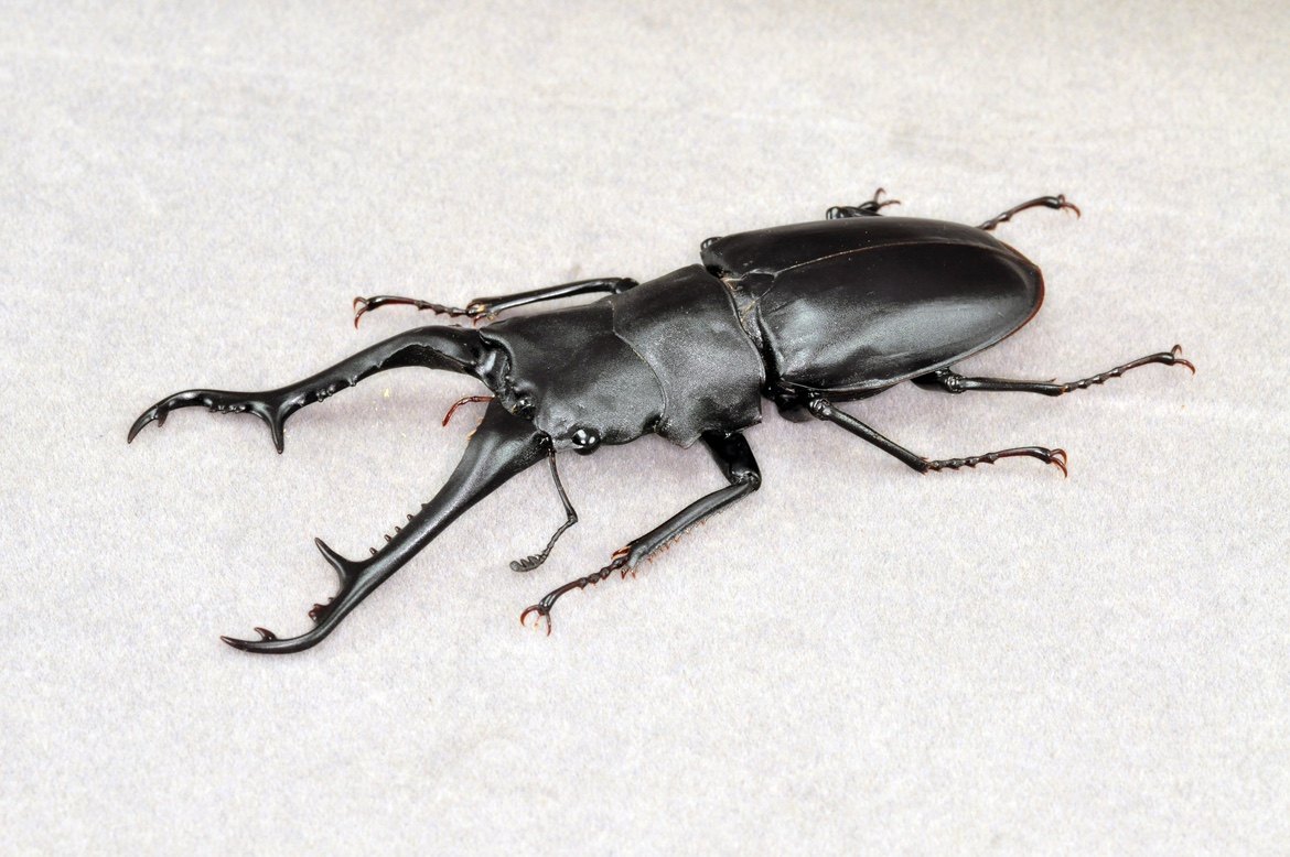 晨观山海｜清远“隆”中对, image size:1170x778