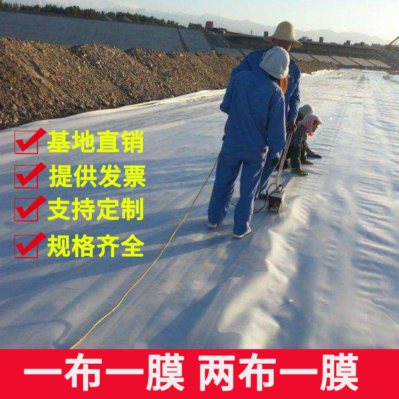 Geomembrane one cloth Two cloth one film Fish pond River waterproof culture film Special thickened anti-seepage cloth Composite geotextile