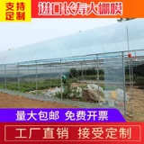 Омолаживающий термос для домашнего использования, сельскохозяйственная прозрачная пластиковая клубника, увеличенная толщина