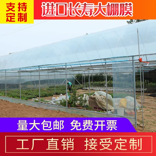 Омолаживающий термос для домашнего использования, сельскохозяйственная прозрачная пластиковая клубника, увеличенная толщина