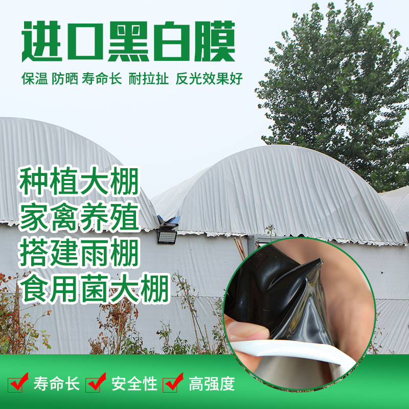 BLACK AND WHITE FILM BREEDING SPECIAL GREENHOUSE FILM EDIBLE MUSHROOM FILM INSULATED SHADE FILM SUN PROTECTION PLASTIC FILM AGRICULTURAL SHED FILM