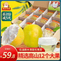 Shouxiang Farm Golden Luo Han Guo dried 12 big fruit Guangxi Guilin Luo Han fruit tea low temperature dehydrated dried fruit new fruit