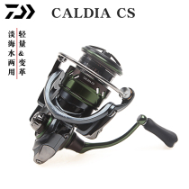 Da Yiwa CALDIA CS LT shallow-line cup fishing wheel light Luya spinning wheel micro-matter sea fishing squid wheel