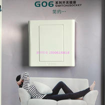 Bulls Switch Socket Panel Blank Panel G06B101 Ivory White Panel Type 86 Wall Seal