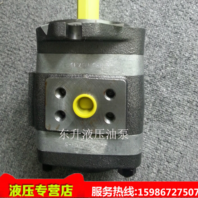 voith Voith gear pump IPV4-20-171 servo hydraulic oil pump special cast iron pressure pump for injection molding machine