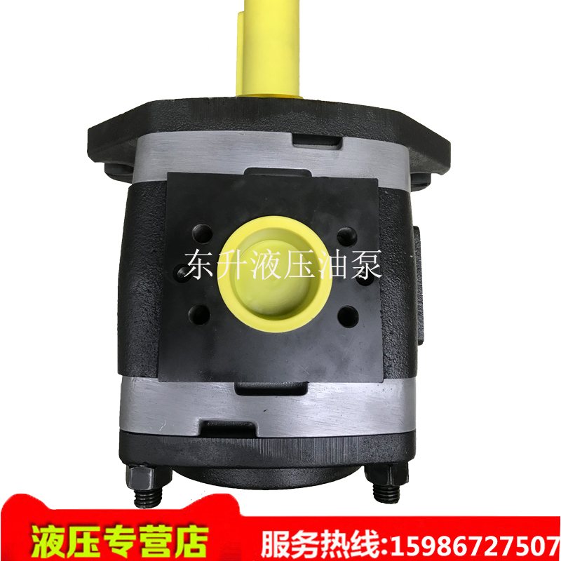 VOITH VOITH VOITH VOITH VOUIT PURSUES IPV6-64 80 100 125-101 Gear Oil Pump