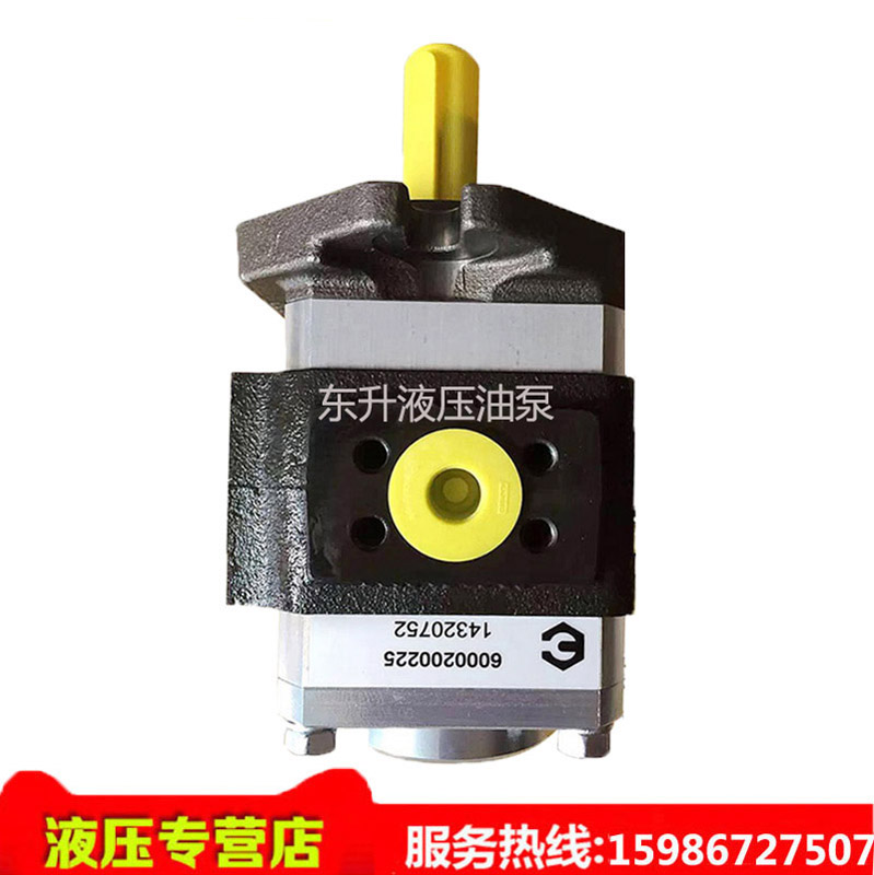 ECKERLE EIPH3-025RK23-10 Die casting machine printing high pressure oil pump electric pump