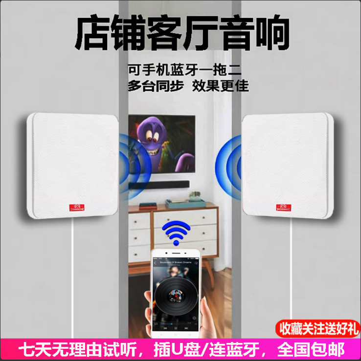 Wall-Mounted Wireless Speaker, Wall Bluetooth Speaker, Voice Remote Control, Dedicated for Clothing Stores, Health Tea Houses, Restaurants, and Shops