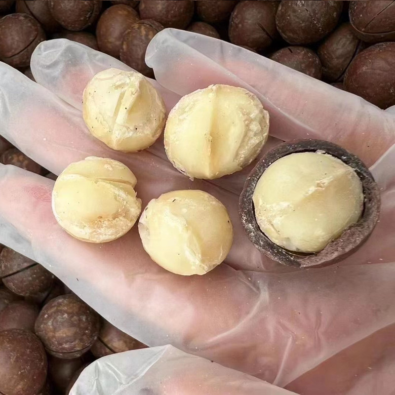 New dried fruit Australian specialty macadamia nuts special nut food snack cream flavored mouth opening