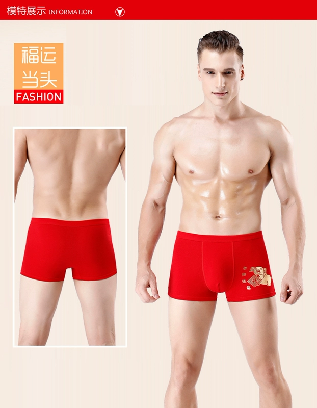 Năm sinh cotton đồ lót màu đỏ quần boxer nam quần đùi nữ màu đỏ eo lớn cặp vợ chồng shop đồ lót