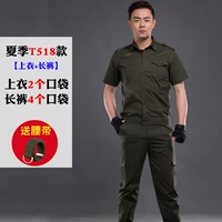 Летняя половина -518 [топ+брюки] пояс доставки