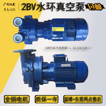 2BV water ring vacuum pump 2bv2060 2bv2070 2bv5110 2bv5121 2bv5131 Active price