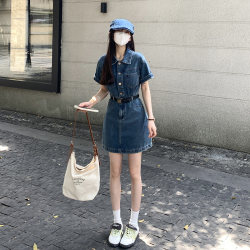 Ai Ensheng denim dress summer new style slim and loose ins basic style blogger wears trendy A-line