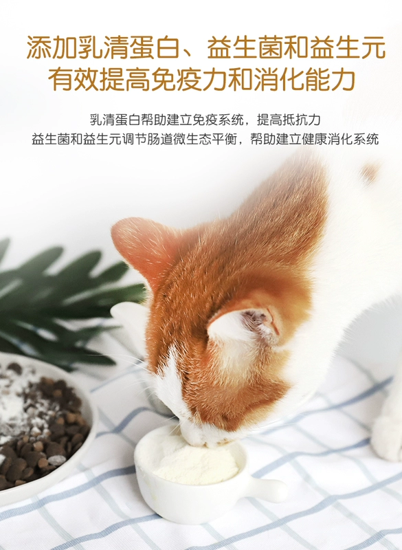 Cat Dad Pet Sữa cừu đặc biệt 300g Puppy Sơ sinh Cat Canxi Dinh dưỡng Cat General - Cat / Dog Health bổ sung