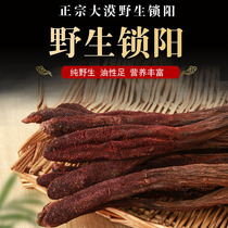 Xinjiang authentic Jinsuoyang pure wild desert 500g high-quality Cynomorium dried whole root sliced ​​medicinal materials for tea and wine